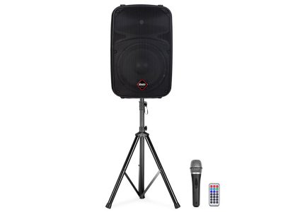 Speaker 1 box 200 watt (tot 40 personen)